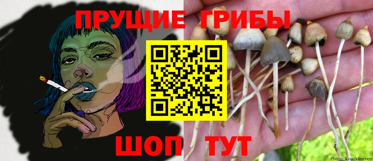 Псилоцибиновые грибы мухоморы Нягань