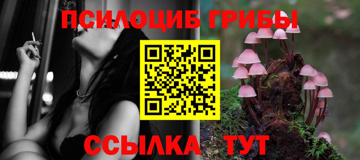 Псилоцибиновые грибы Psilocybine cubensis  Вход с VPN  Нягань  Псилоцибиновые грибы Psilocybe 